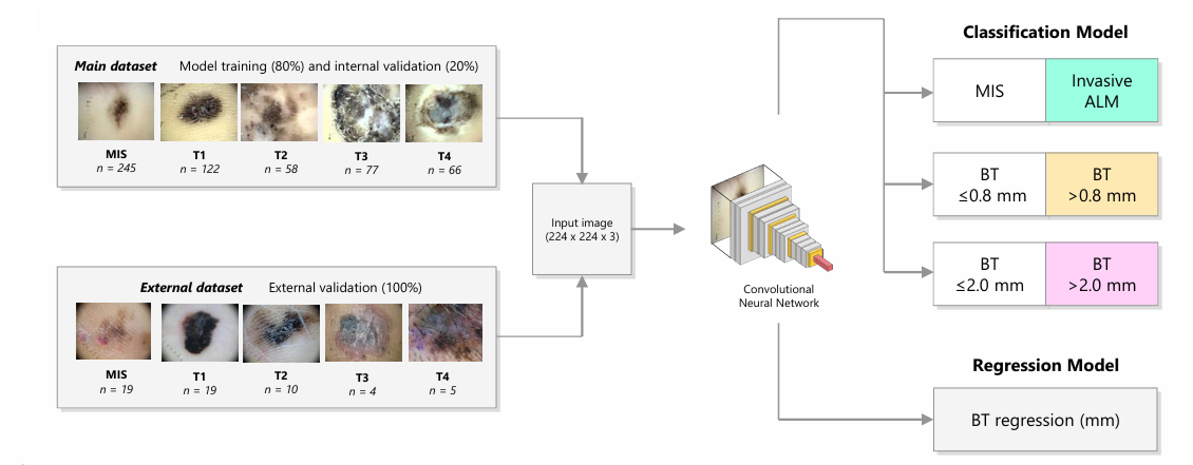 Breslow thickness prediction overview